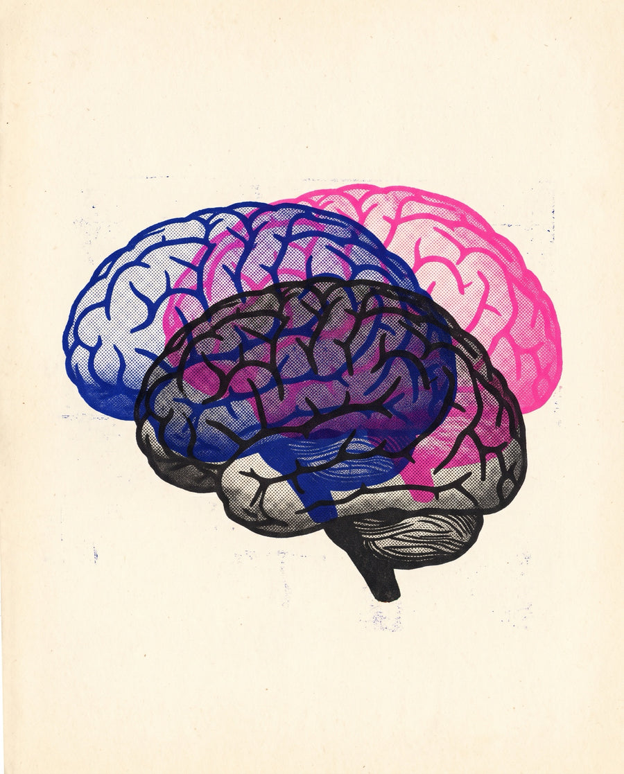 Three misregistered brain plates in blue, pink and black ink